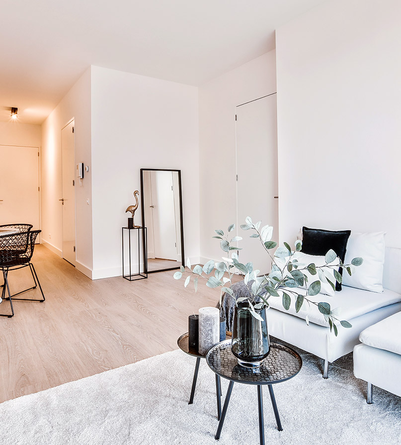 Elegant interior design of white living room