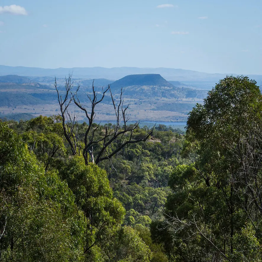 Things to Do in Biloela During Your Stay
